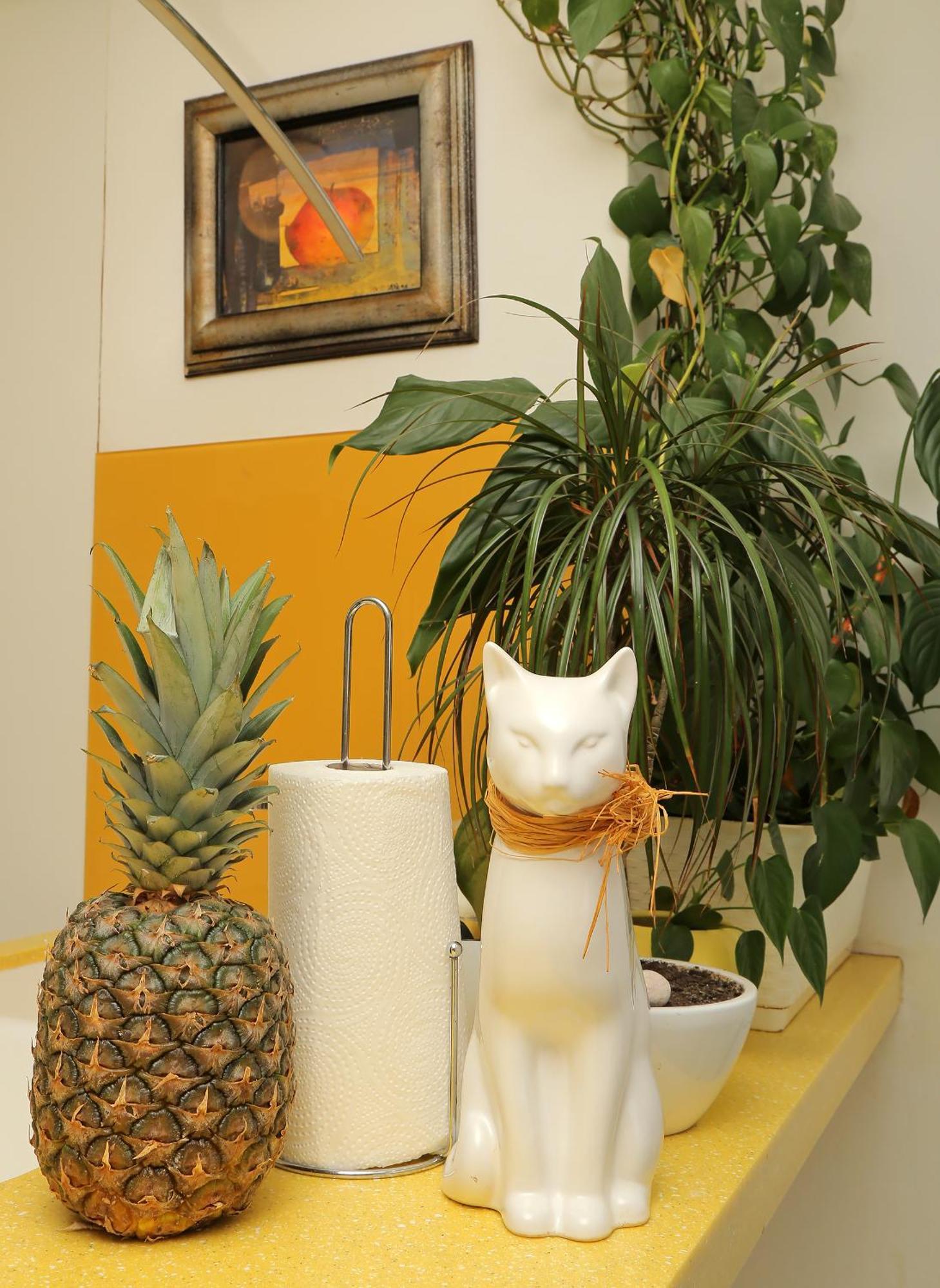Kate's Place Apartment *